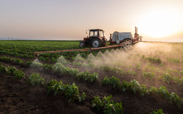 Insect Control in Hiawatha, KS