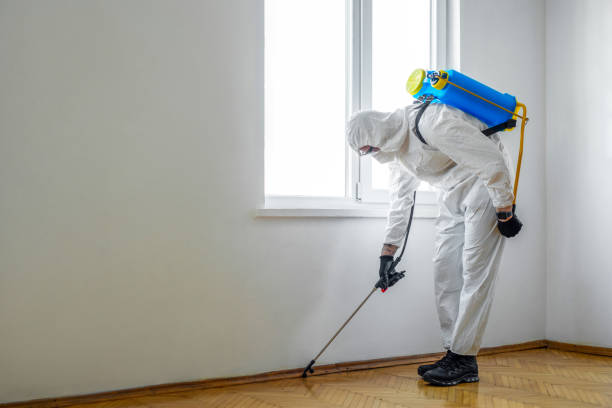 Best Pest Removal Services  in Hiawatha, KS