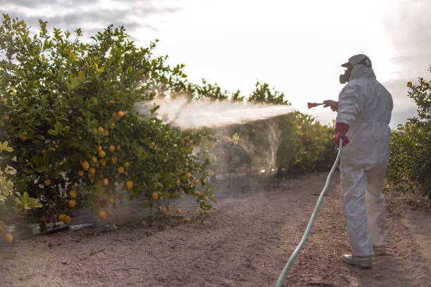 Reliable Hiawatha, KS Pest Control Solutions