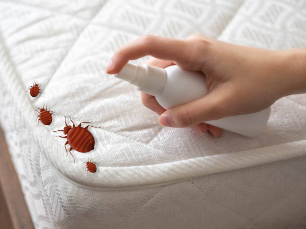 Professional Pest Control in Hiawatha, KS