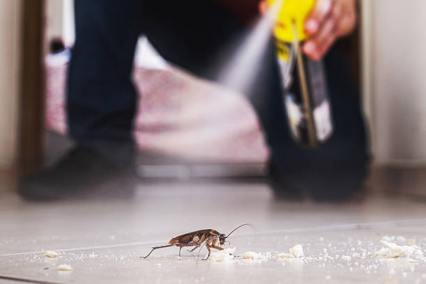 Pest Prevention Services in Hiawatha, KS