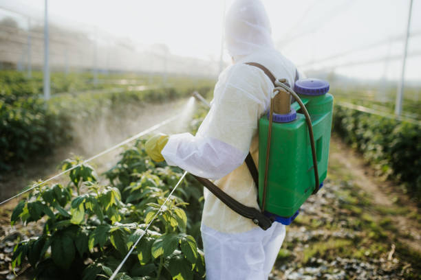 Best Pest Prevention Services  in Hiawatha, KS